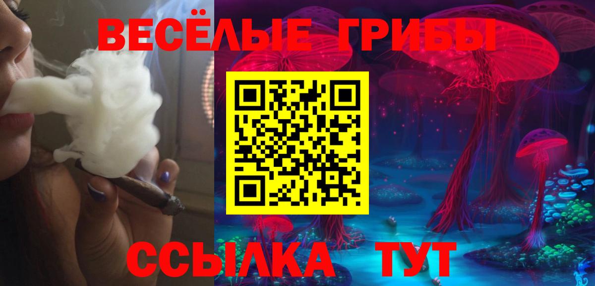 Псилоцибиновые грибы прущие грибы Новоалександровск