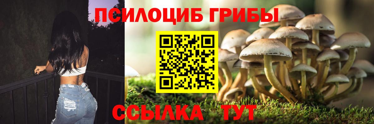 наркота  Галлюциногенные грибы GOLDEN TEACHER  Вход с VPN  Новоалександровск 